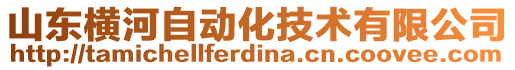 山東橫河自動化技術(shù)有限公司