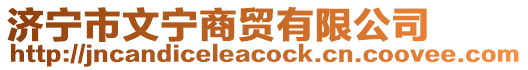 濟寧市文寧商貿(mào)有限公司