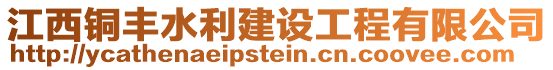 江西銅豐水利建設工程有限公司