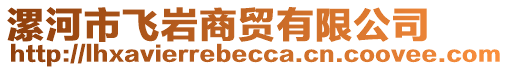 漯河市飞岩商贸有限公司