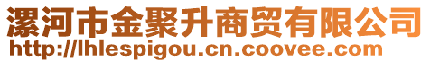 漯河市金聚升商貿(mào)有限公司