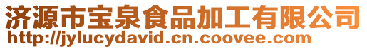 濟源市寶泉食品加工有限公司