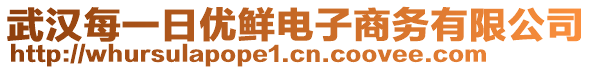 武漢每一日優(yōu)鮮電子商務(wù)有限公司