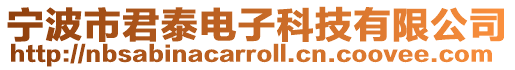 寧波市君泰電子科技有限公司