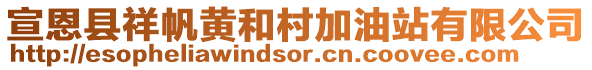 宣恩县祥帆黄和村加油站有限公司