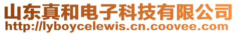 山東真和電子科技有限公司