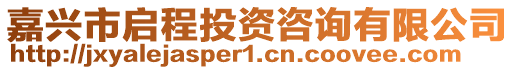 嘉興市啟程投資咨詢有限公司