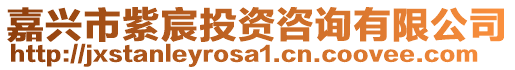 嘉興市紫宸投資咨詢有限公司