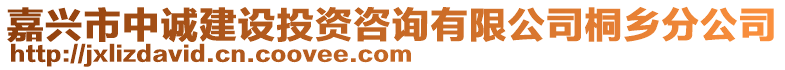 嘉興市中誠(chéng)建設(shè)投資咨詢有限公司桐鄉(xiāng)分公司