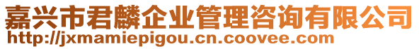 嘉興市君麟企業(yè)管理咨詢有限公司