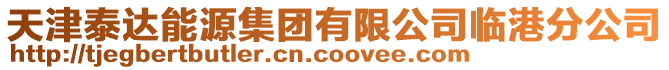 天津泰達能源集團有限公司臨港分公司