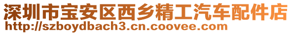 深圳市宝安区西乡精工汽车配件店