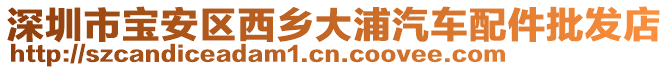 深圳市宝安区西乡大浦汽车配件批发店