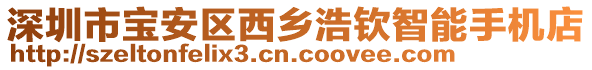 深圳市宝安区西乡浩钦智能手机店