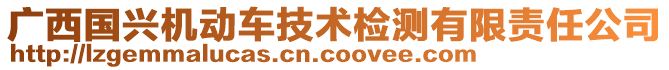 廣西國興機動車技術(shù)檢測有限責(zé)任公司