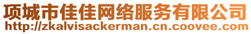 項(xiàng)城市佳佳網(wǎng)絡(luò)服務(wù)有限公司