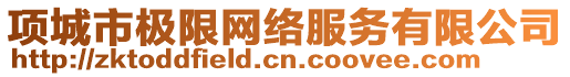 項(xiàng)城市極限網(wǎng)絡(luò)服務(wù)有限公司