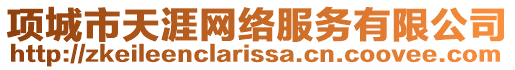 項城市天涯網絡服務有限公司