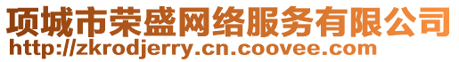 項城市榮盛網(wǎng)絡(luò)服務(wù)有限公司