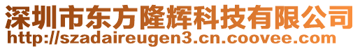 深圳市東方隆輝科技有限公司