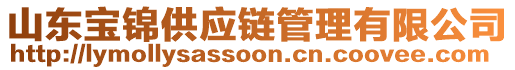 山東寶錦供應(yīng)鏈管理有限公司