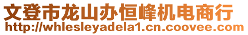 文登市龍山辦恒峰機(jī)電商行