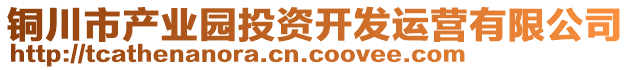 銅川市產(chǎn)業(yè)園投資開發(fā)運(yùn)營有限公司