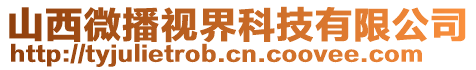 山西微播視界科技有限公司