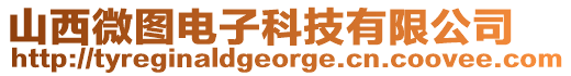 山西微圖電子科技有限公司
