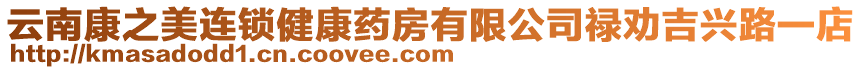 云南康之美連鎖健康藥房有限公司祿勸吉興路一店