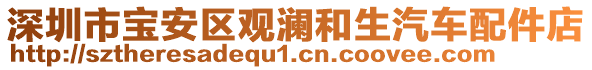 深圳市寶安區(qū)觀瀾和生汽車配件店