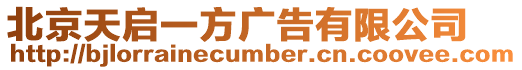 北京天啟一方廣告有限公司