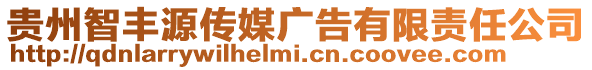 貴州智豐源傳媒廣告有限責任公司
