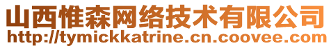 山西惟森網(wǎng)絡(luò)技術(shù)有限公司