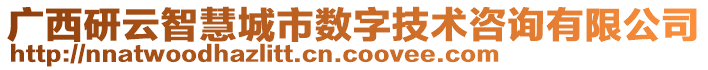 廣西研云智慧城市數(shù)字技術咨詢有限公司