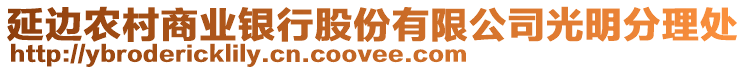 延边农村商业银行股份有限公司光明分理处