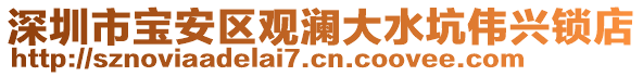 深圳市寶安區(qū)觀瀾大水坑偉興鎖店