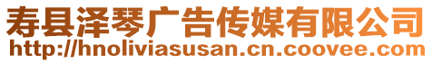 壽縣澤琴廣告傳媒有限公司