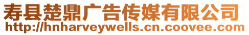 壽縣楚鼎廣告傳媒有限公司