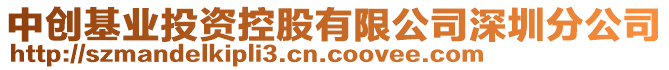 中創(chuàng)基業(yè)投資控股有限公司深圳分公司