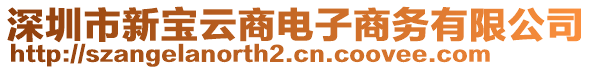 深圳市新寶云商電子商務(wù)有限公司