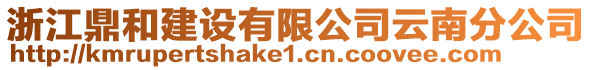 浙江鼎和建設(shè)有限公司云南分公司