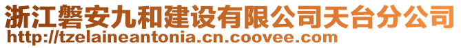 浙江磐安九和建設有限公司天臺分公司