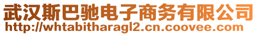 武漢斯巴馳電子商務(wù)有限公司