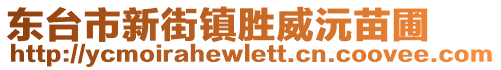 東臺市新街鎮(zhèn)勝威沅苗圃