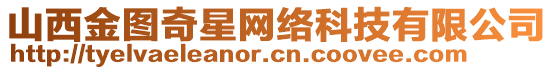 山西金圖奇星網絡科技有限公司