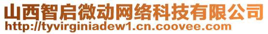 山西智啟微動(dòng)網(wǎng)絡(luò)科技有限公司