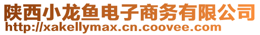 陜西小龍魚電子商務(wù)有限公司