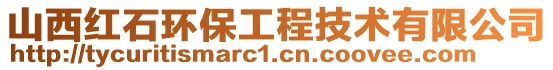 山西紅石環保工程技術有限公司