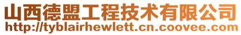 山西德盟工程技術有限公司